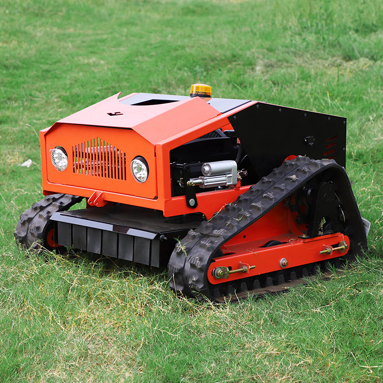 Il miglior tosaerba da passeggio