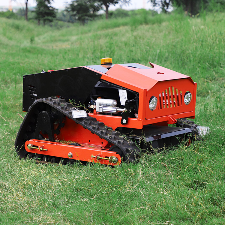 Il miglior tosaerba da passeggio