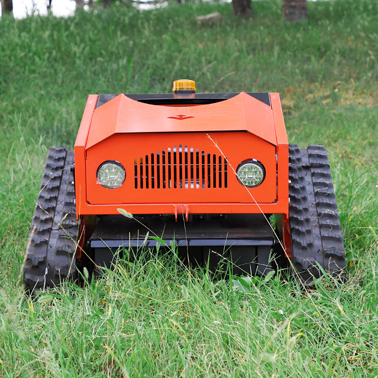 Il miglior tosaerba da passeggio