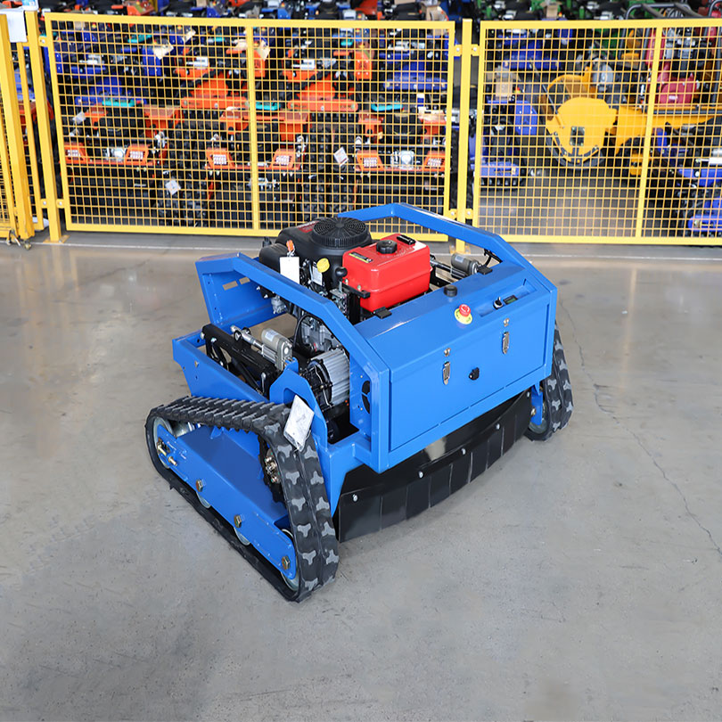 RC1000S buoni tosaerba