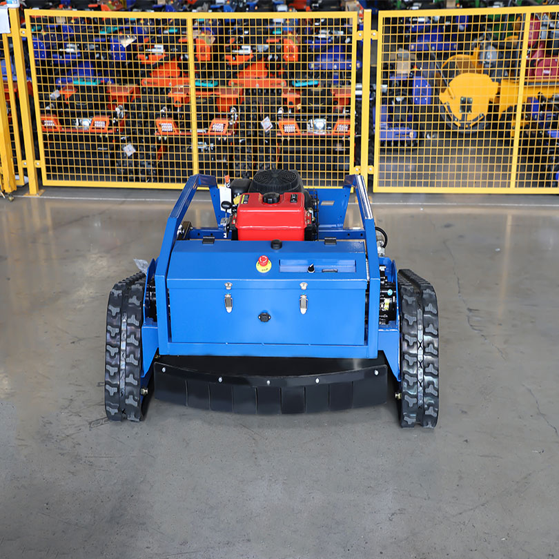 RC1000S buoni tosaerba