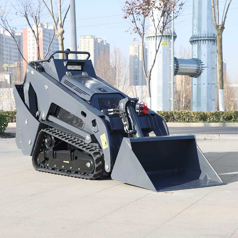 YF1000 Minipala cingolata