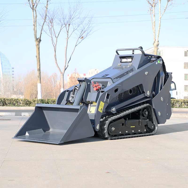 YF1000 Minipala cingolata