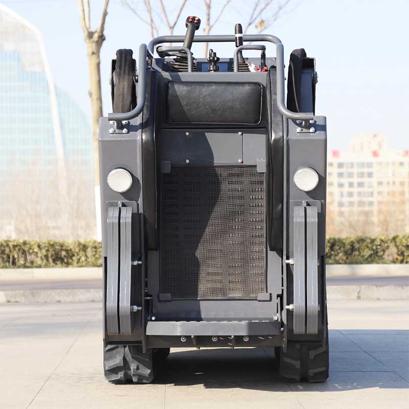 YF1000 Minipala cingolata