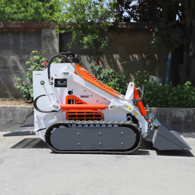 Il più grande skid steer