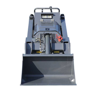 YF1000 Minipala cingolata