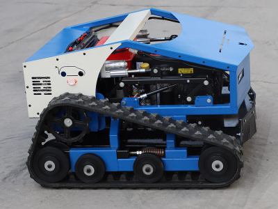 I clienti lasciano recensioni entusiastiche: questo tosaerba è diventato un "potente assistente" per la manutenzione del giardino