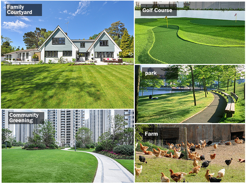 Tosaerba a cavalcioni.jpg Tosaerba a cavalcioni.jpg