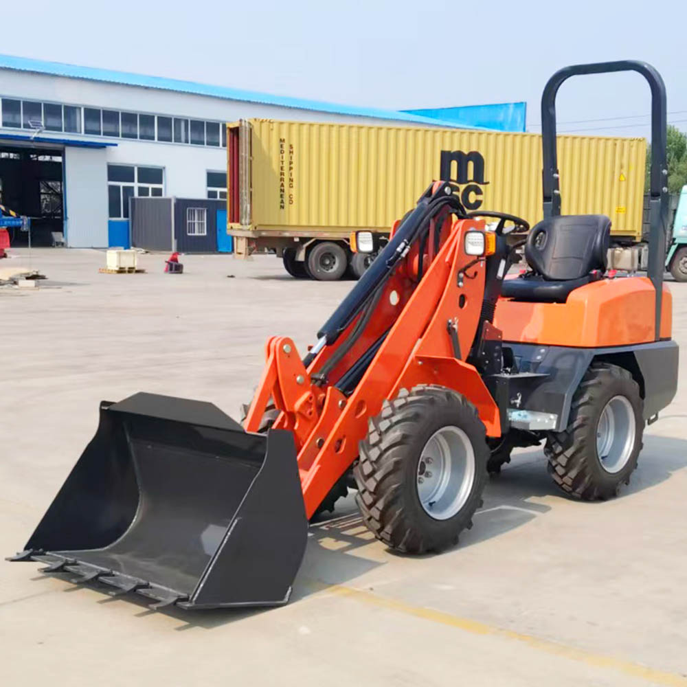 Prezzo della minipala