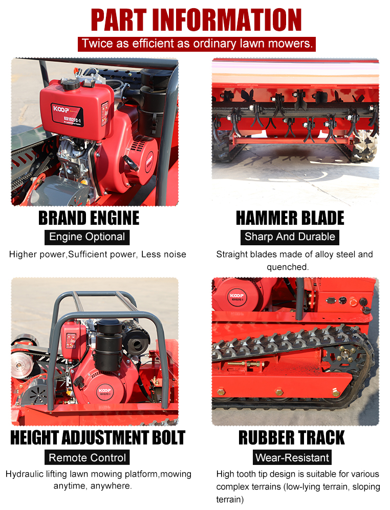 1761284505839530.jpg Dettagli Jiafu 800 page_05.jpg