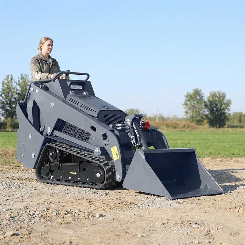 YF1000 Minipala cingolata