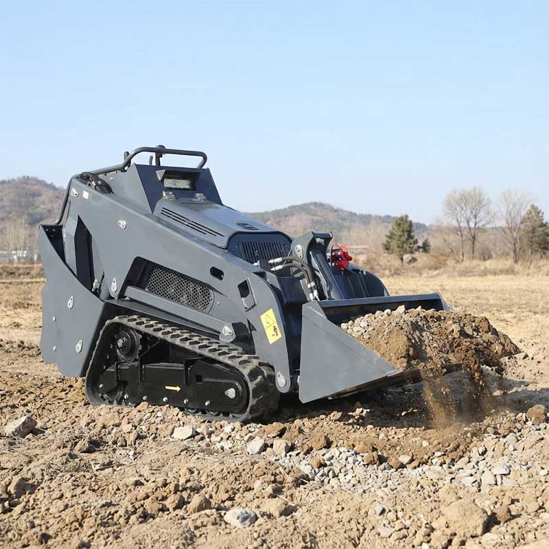 YF1000 Minipala cingolata